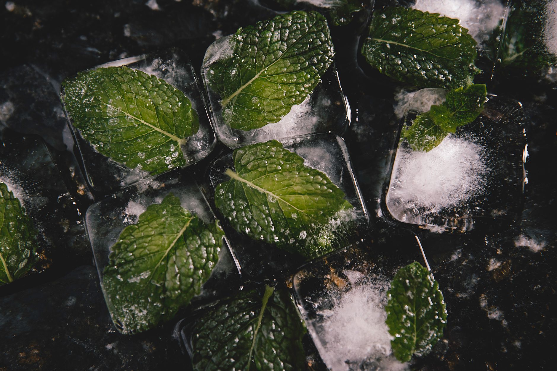 Close-up of ice cubes melting slowly in a glass