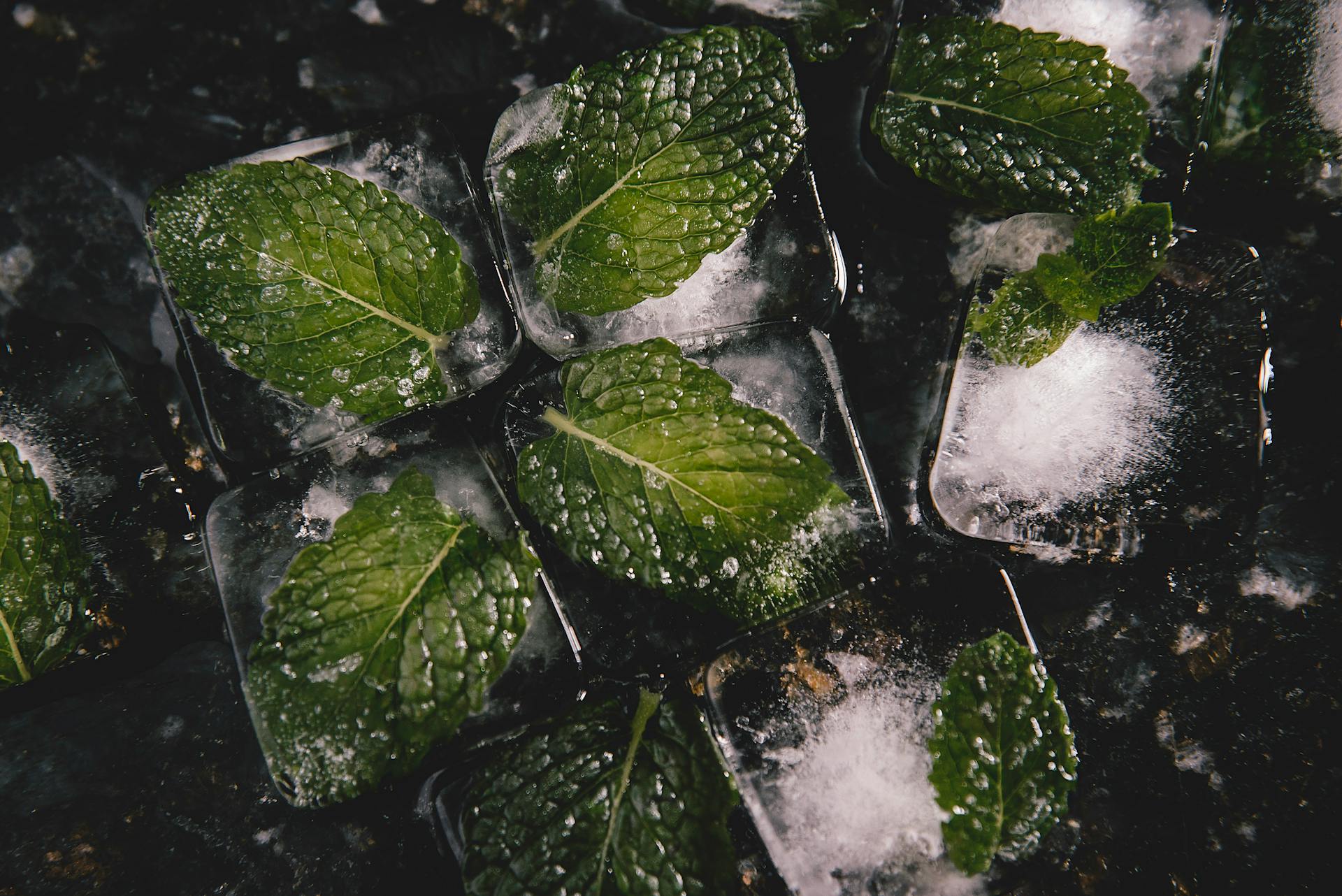 Mint Leaves Inside Ice Cubes