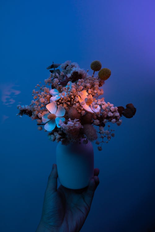 Безкоштовне стокове фото на тему «блакитний фон, ваза, вертикальні постріл»