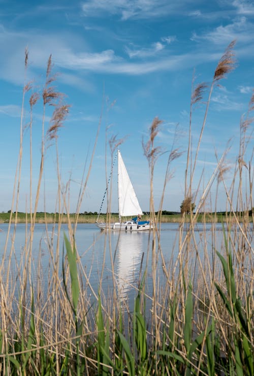 White Sail Boat on Water