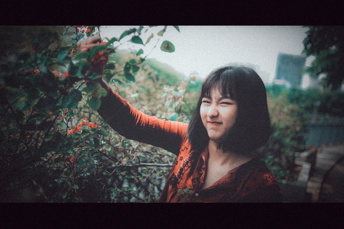 Free stock photo of 35mm, art, beautiful