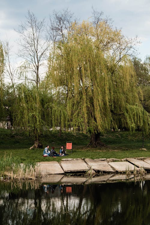 Darmowe zdjęcie z galerii z czas wolny, drzewo, jezioro