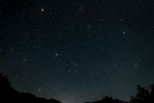 무료 나무, 밤, 별의 무료 스톡 사진