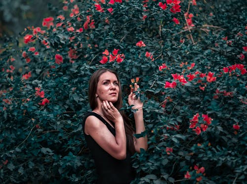 Free Woman Holding Red Petal Flower in Shallow Focus Photography Stock Photo