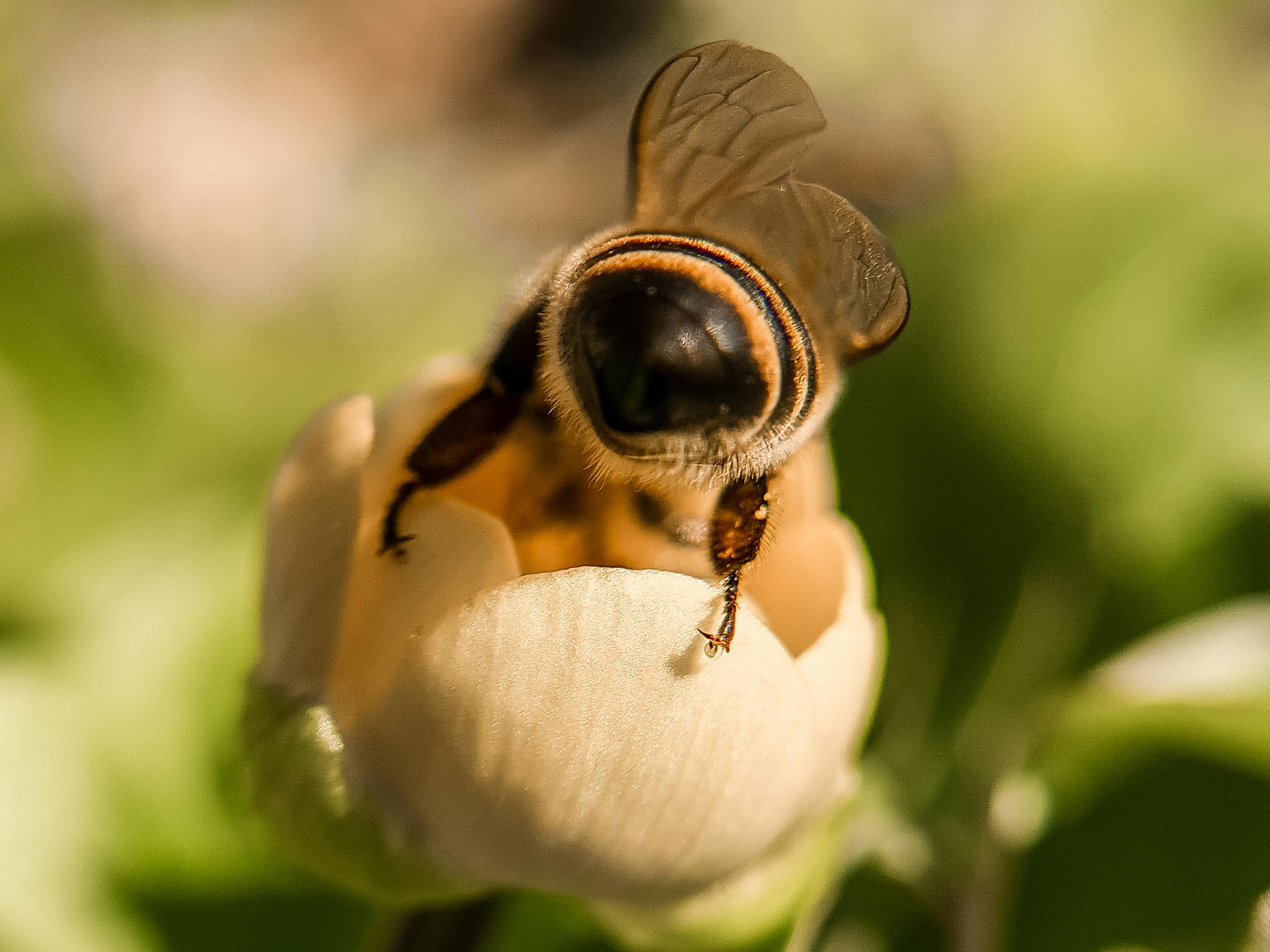 Yulia Ilina - Photography