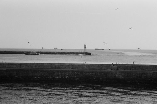 Free Monochrome view of a lighthouse by the sea with birds and ships. Stock Photo