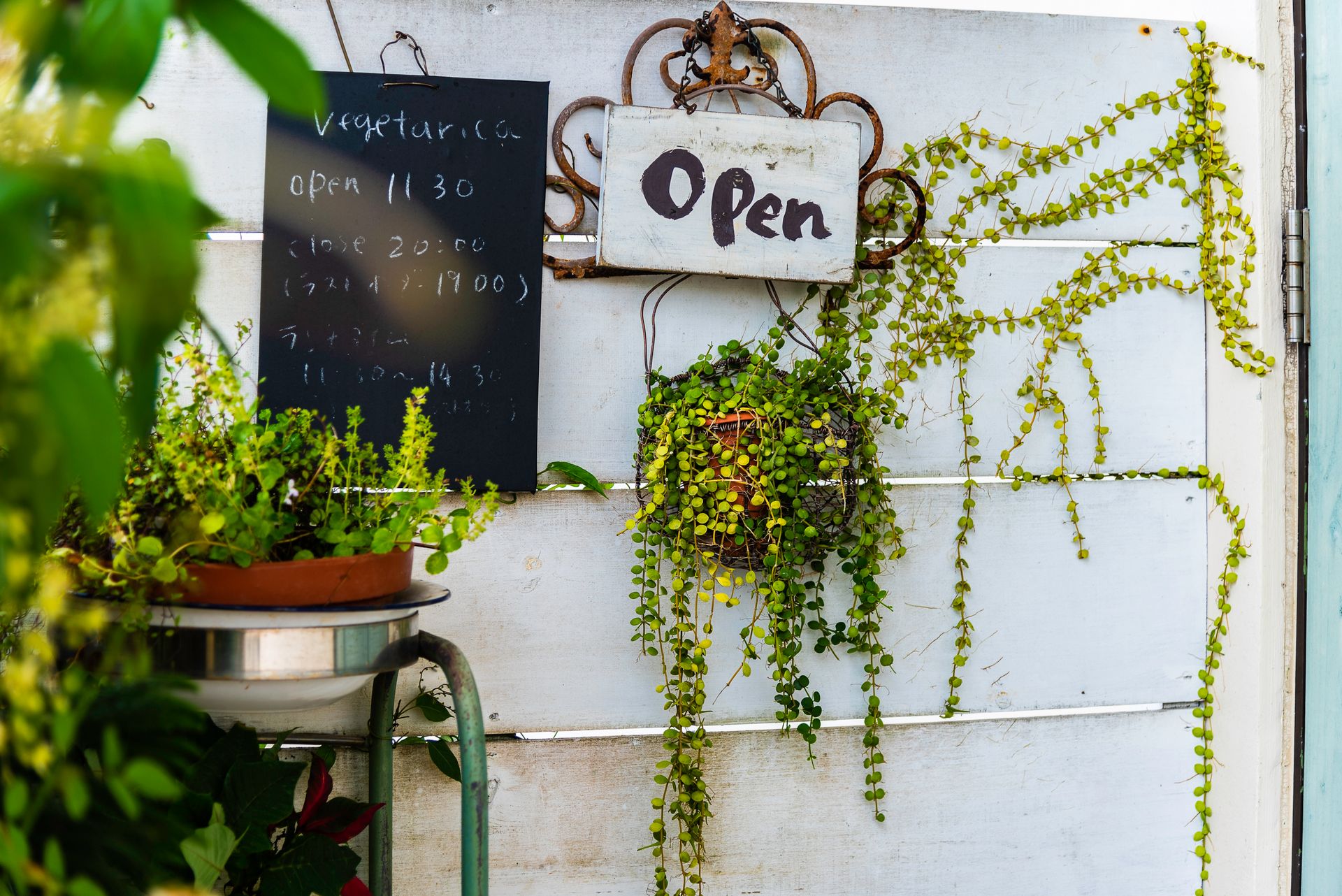 Cozy cafe entrance with open sign, blackboard, hanging plants, and vine decor creating a welcoming atmosphere.