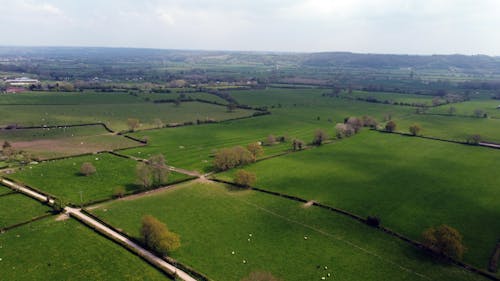 Foto profissional grátis de área, campos verdes, ecológico