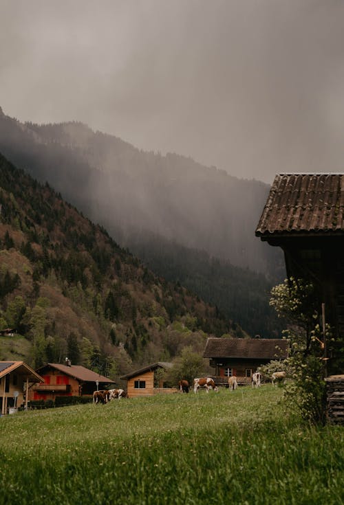 Mountain Village Photos, Download The BEST Free Mountain Village Stock  Photos & HD Images