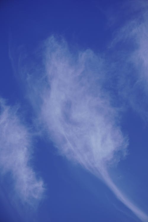 Fotos de stock gratuitas de cielo azul, formación de nubes, nubes