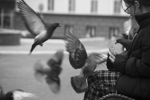 A Woman Feeding Birds