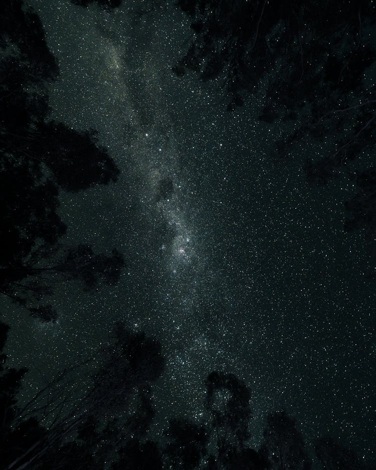 Stars On Night Sky