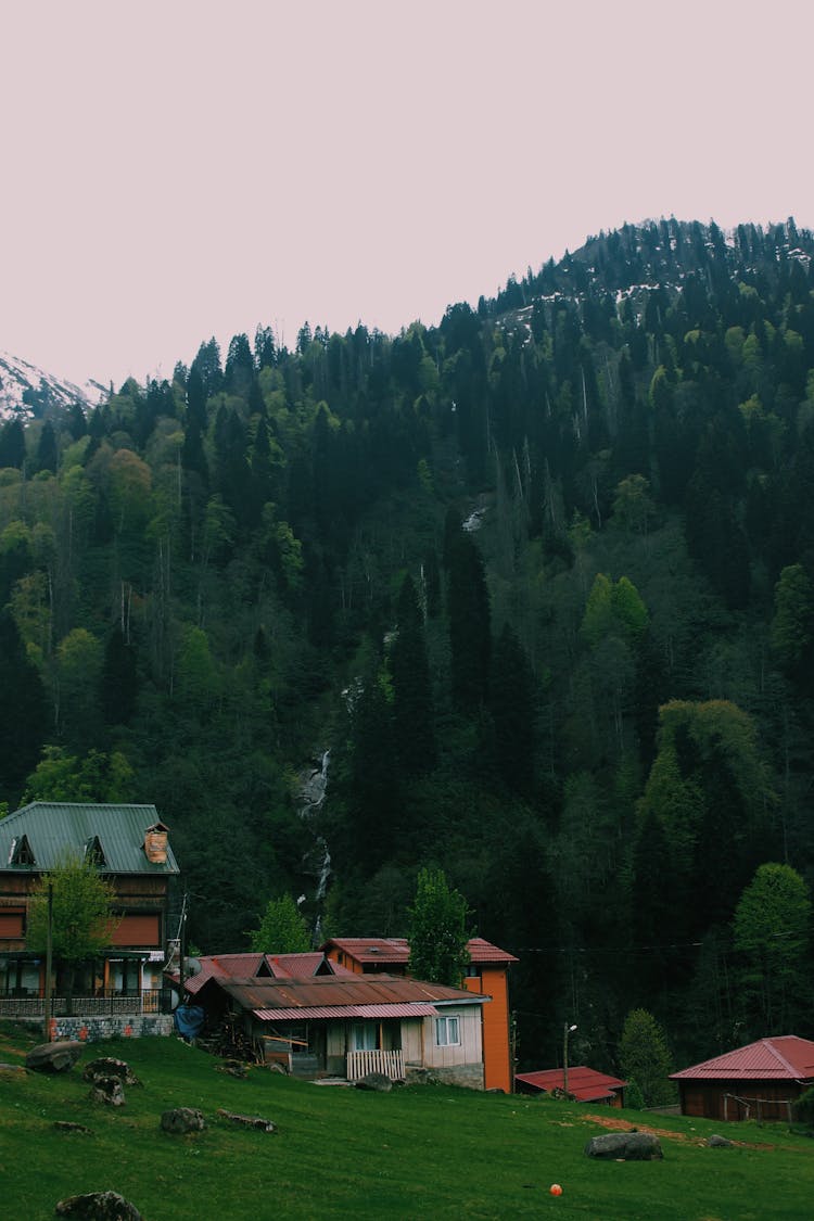 Houses And Trees On Hill