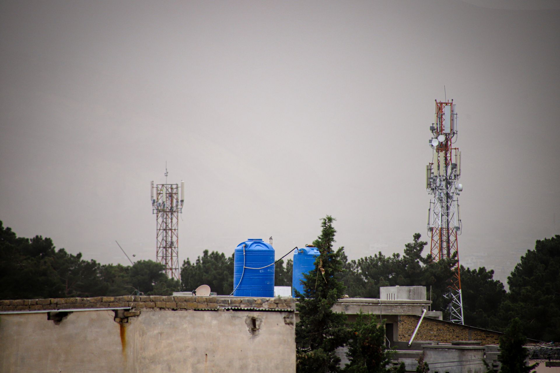 Telecommunication Towers among Trees