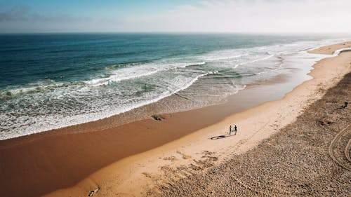 Free Surfers on the Sandy Beach Stock Photo