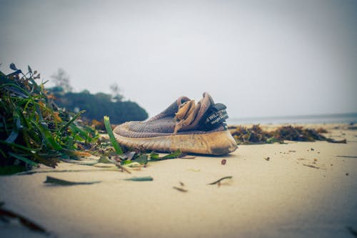 Foto profissional grátis de poluição da praia, terra limpa