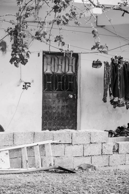 Základová fotografie zdarma na téma černobílý, domy, dům