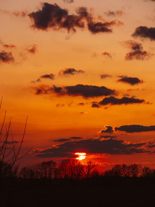Free A striking sunset with dramatic clouds and silhouetted trees creating a vivid orange sky. Stock Photo