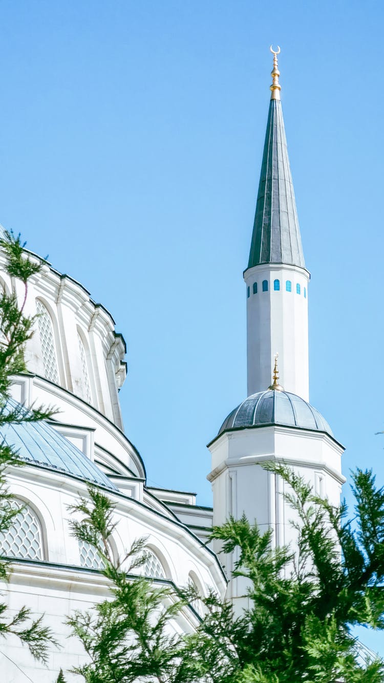 White And Green Concrete Building Under Blue Sky