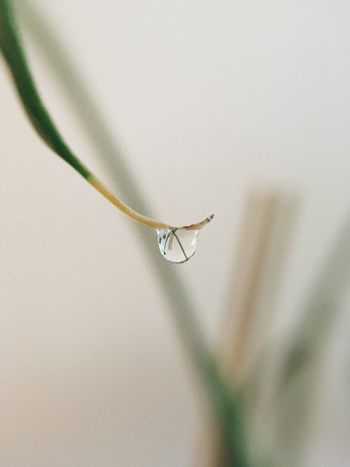 Close up of a Raindrop