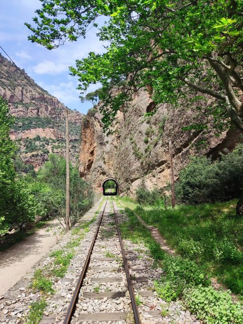 Free Discover the picturesque railway tunnel amidst lush greenery in Vouraikos Gorge, Greece. Stock Photo