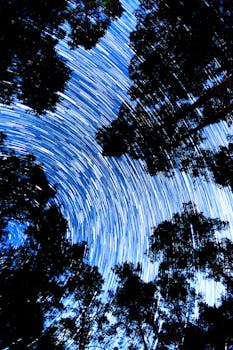 Vertical shot of star trails above silhouetted trees creates a mesmerizing night sky pattern.