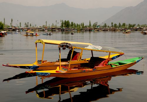 Free Vibrant shikara boats float gracefully on Dal Lake, Srinagar, with a backdrop of serene mountains. Stock Photo