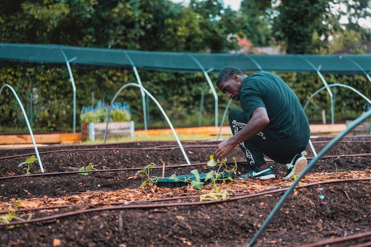 Crouching Man Volunteering In A Garden