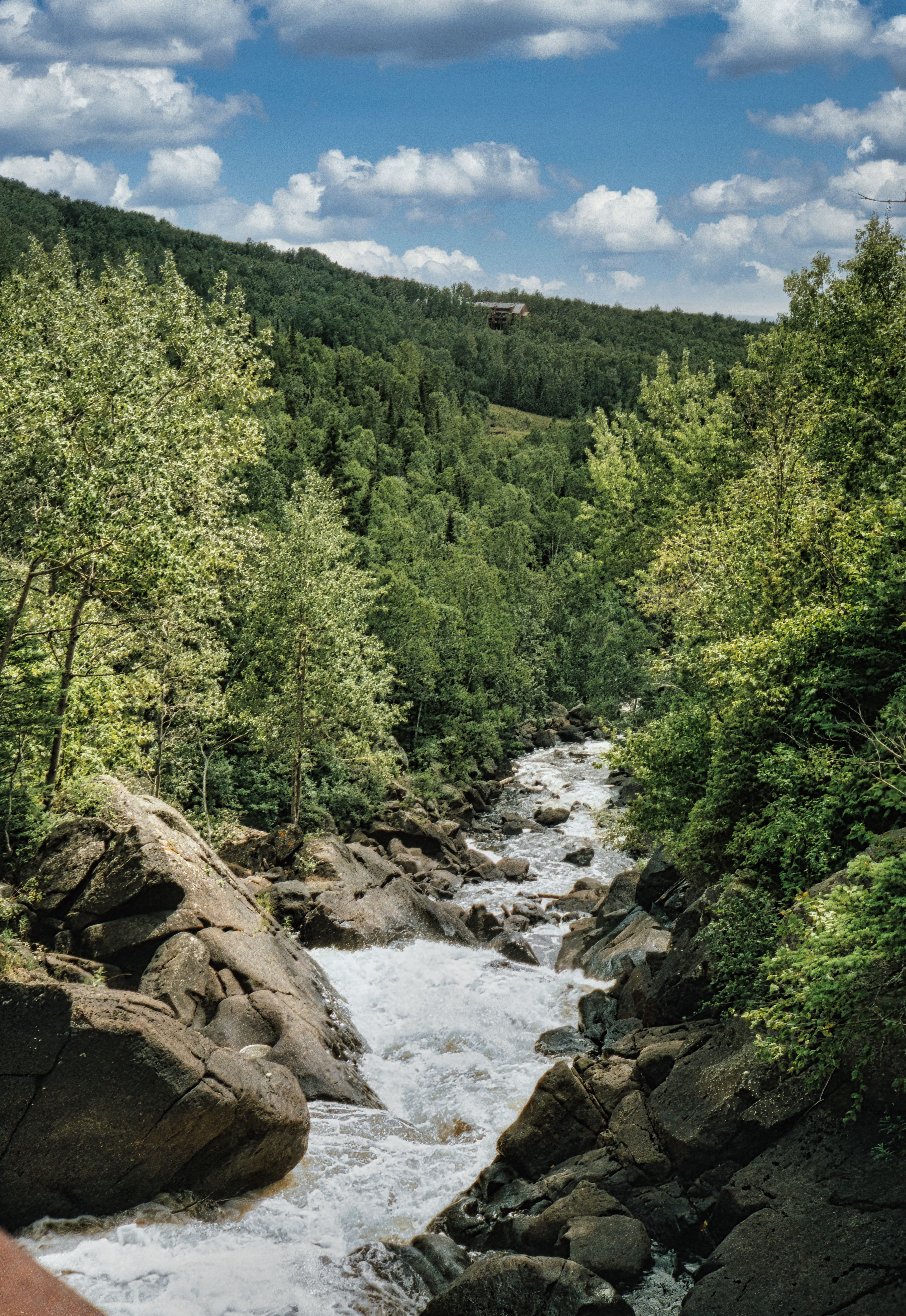 River Between Rocks and Trees · Free Stock Photo