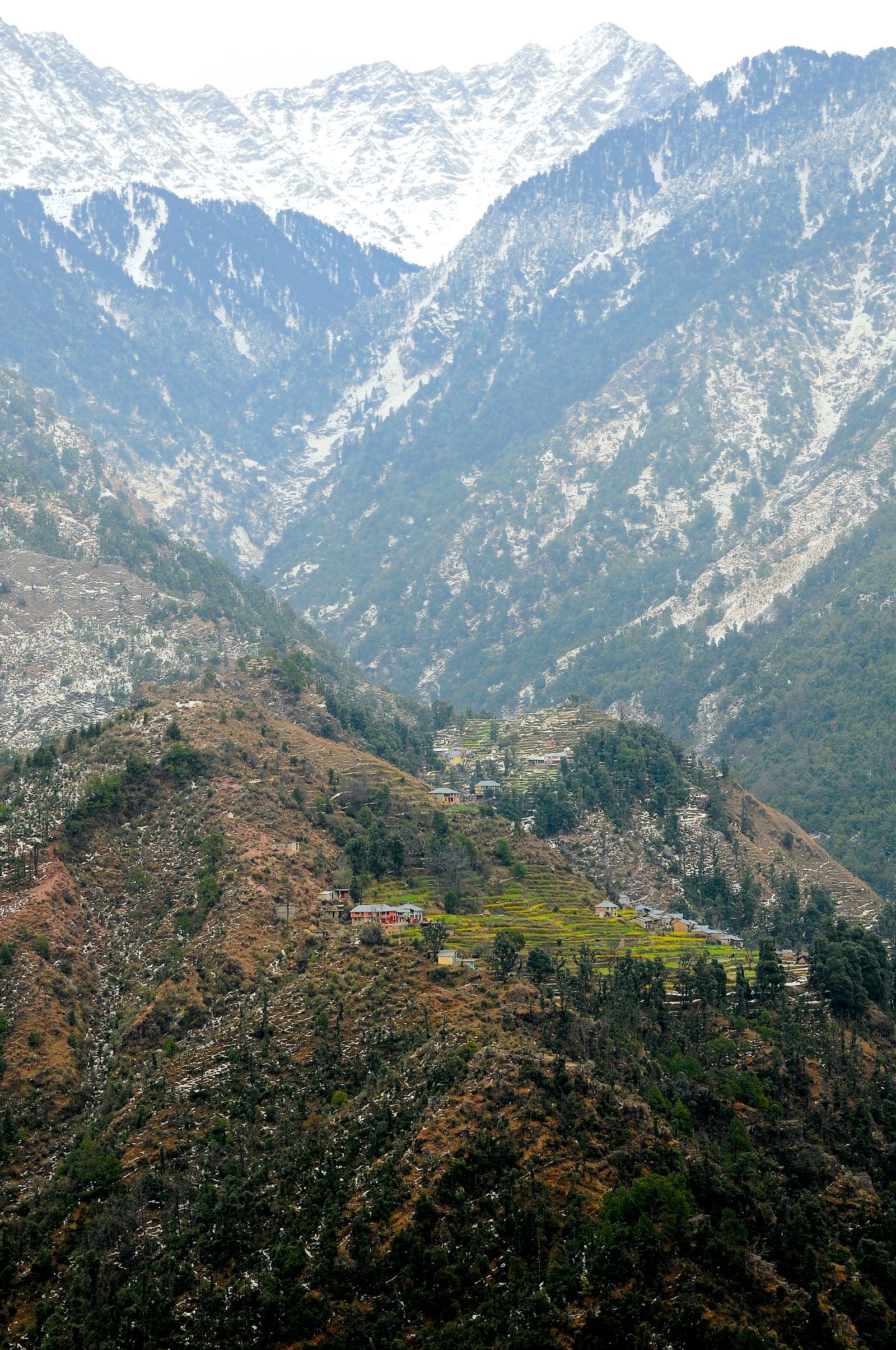 Manali Tour Packages from Hyderabad destination travel photograph