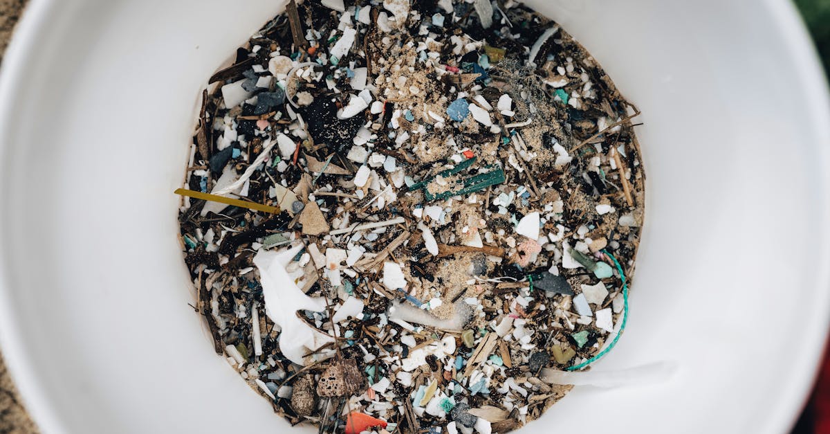 Photo by Alfo Medeiros Detailed view of microplastics and debris collected in a white circular container showing pollution.