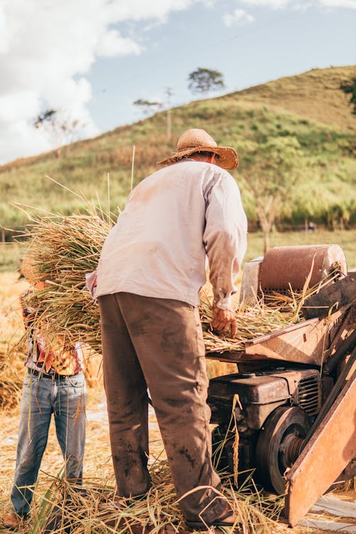 Farmers Working with Hay