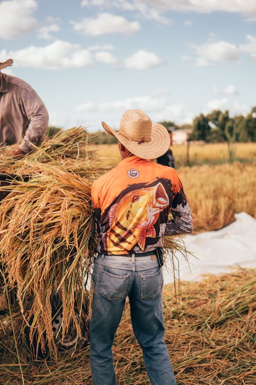 Farmers Working with Hay