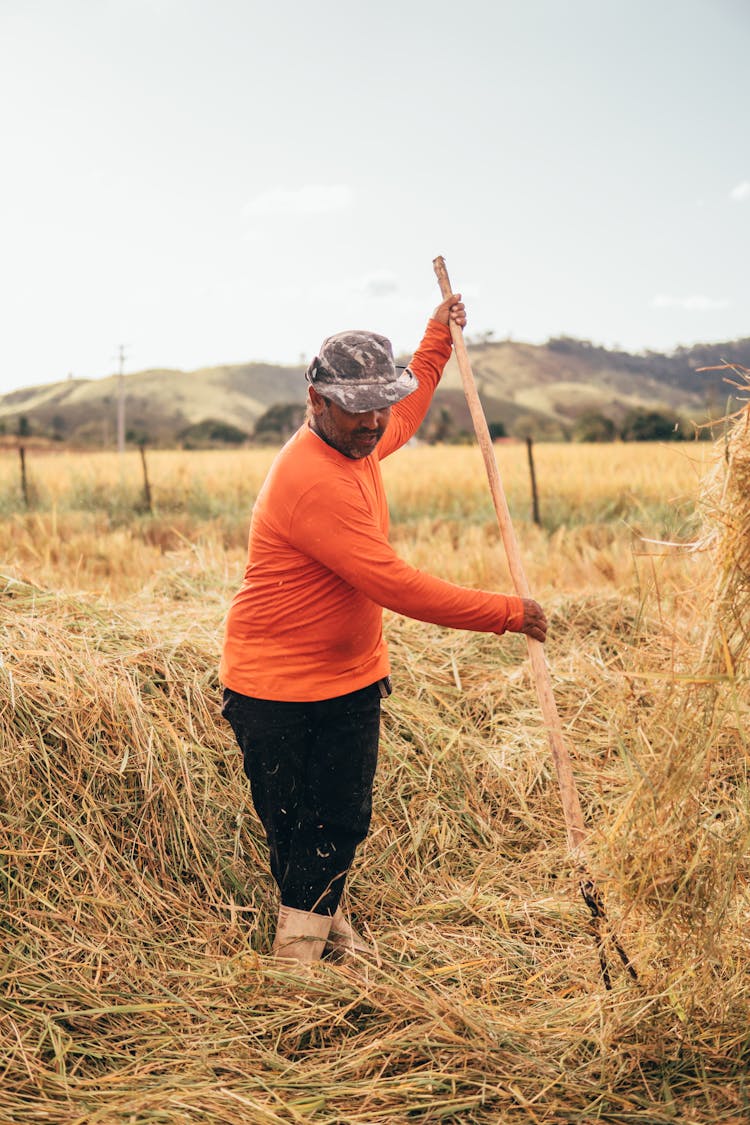 Farmer With A Pitchfork In The Field 