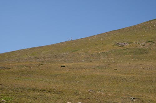 คลังภาพถ่ายฟรี ของ นักปีนเขา, ภูเขา