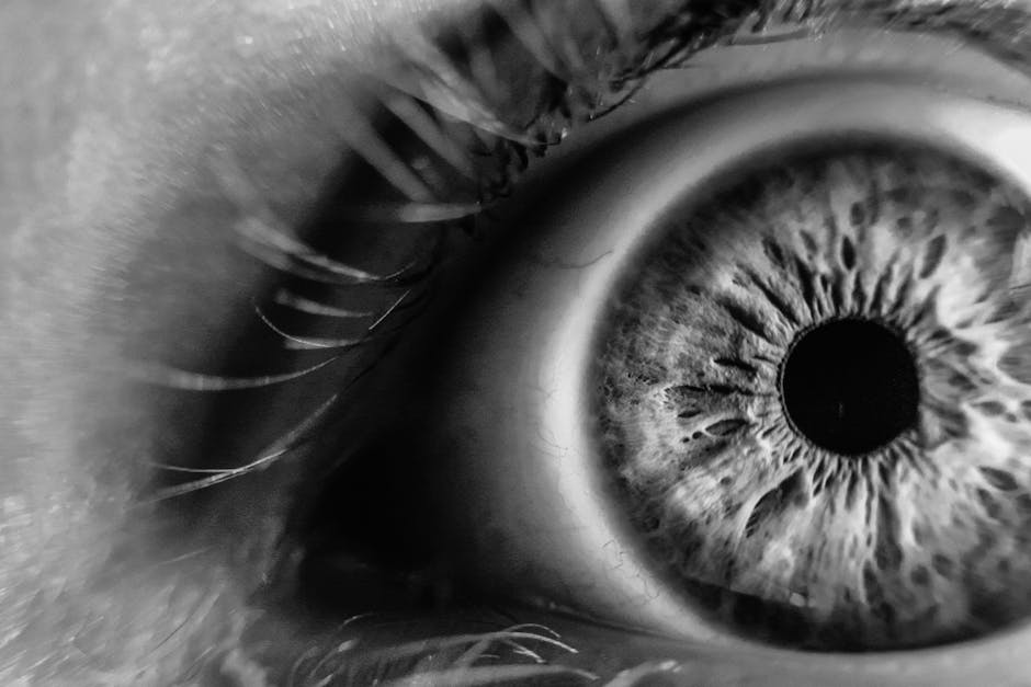 Grayscale Photo of Human Eye