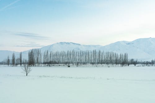エリア, ビュー, 冬の無料の写真素材