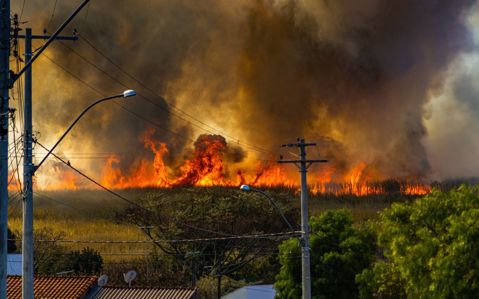 A grass fire burning across an open field with thick smoke rising near a town.