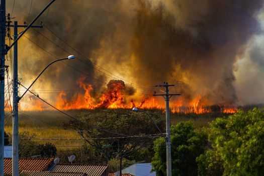 Wildfire Smoke Linked to Spike in Migraine ER Visits, Health Canada Study Finds