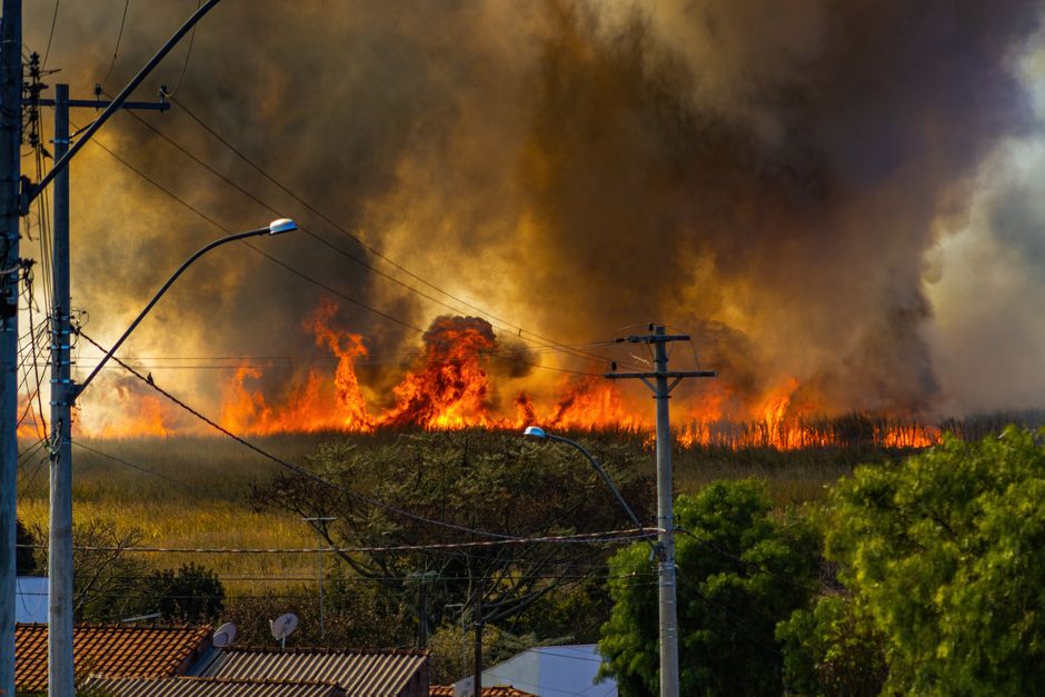 Photo by Alexandre P. Junior A blazing wildfire spreads through a field, emitting thick smoke.