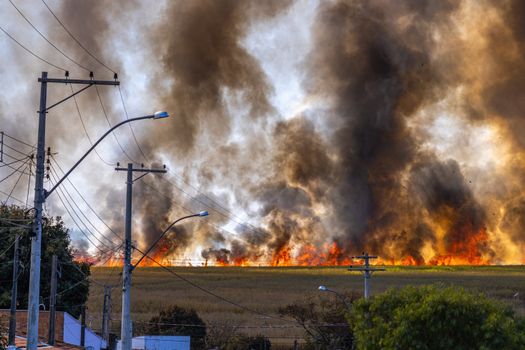 CN Crew Survives Terrifying Wildfire Encounter Near Armstrong, Ontario
