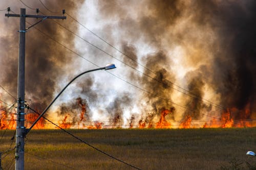 山火事, 汚染, 火の無料の写真素材