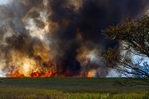 alev, çim saha, duman içeren Ücretsiz stok fotoğraf