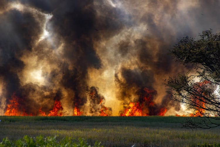 Large Flames In Field