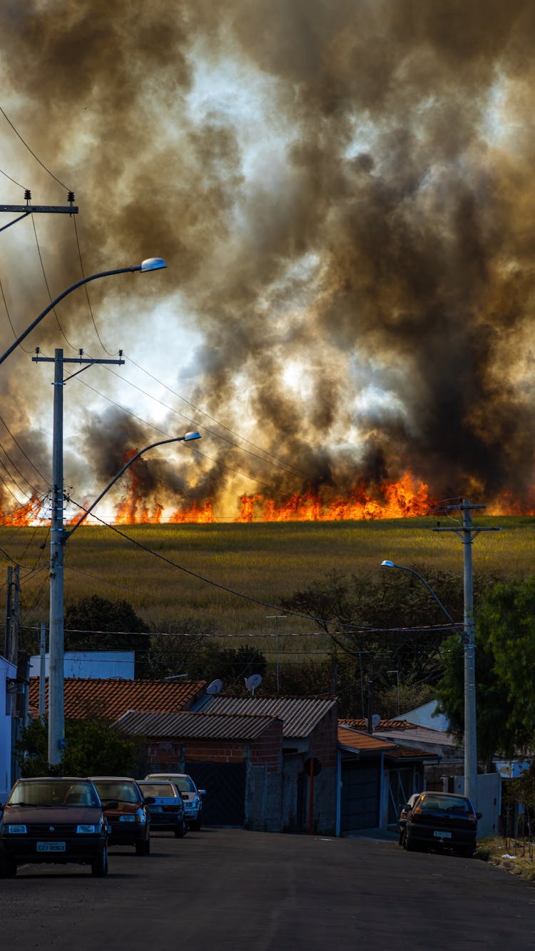 Village Near A Fire On Grass Field