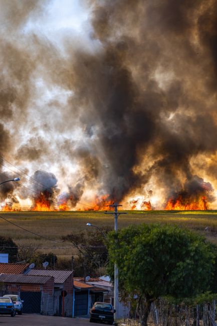 Photo by Alexandre P. Junior Intense wildfire with thick smoke near homes highlights environmental danger.