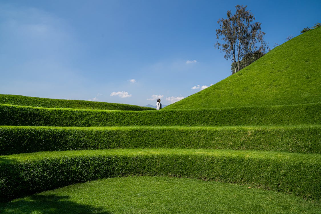 Woman on a Green Hill 