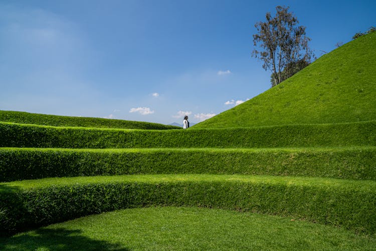 Woman On A Green Hill 