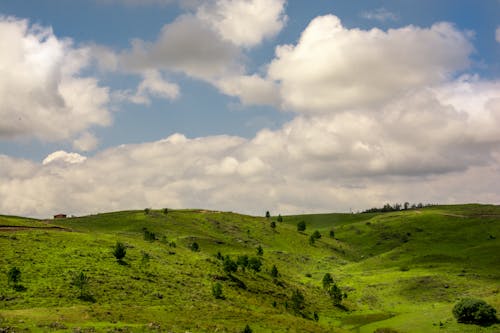 Kostnadsfria Kostnadsfri bild av grönt gräs, himmel, landsbygden Stock foto
