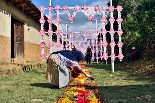 Free Woman decorates a vibrant flower carpet during a traditional festival in Michoacán, Mexico. Stock Photo